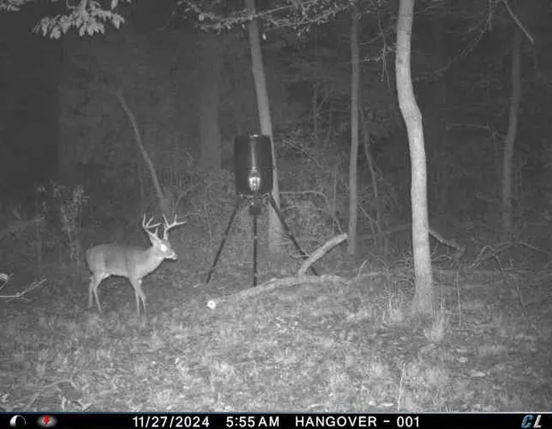 $574,000 | 143 Private Road 440, Buffalo, TX 75831