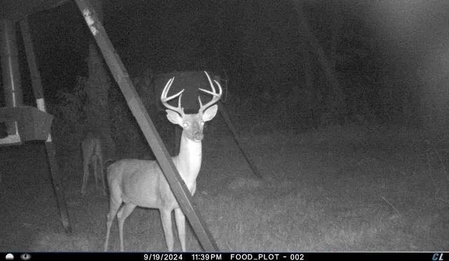 $574,000 | 143 Private Road 440, Buffalo, TX 75831