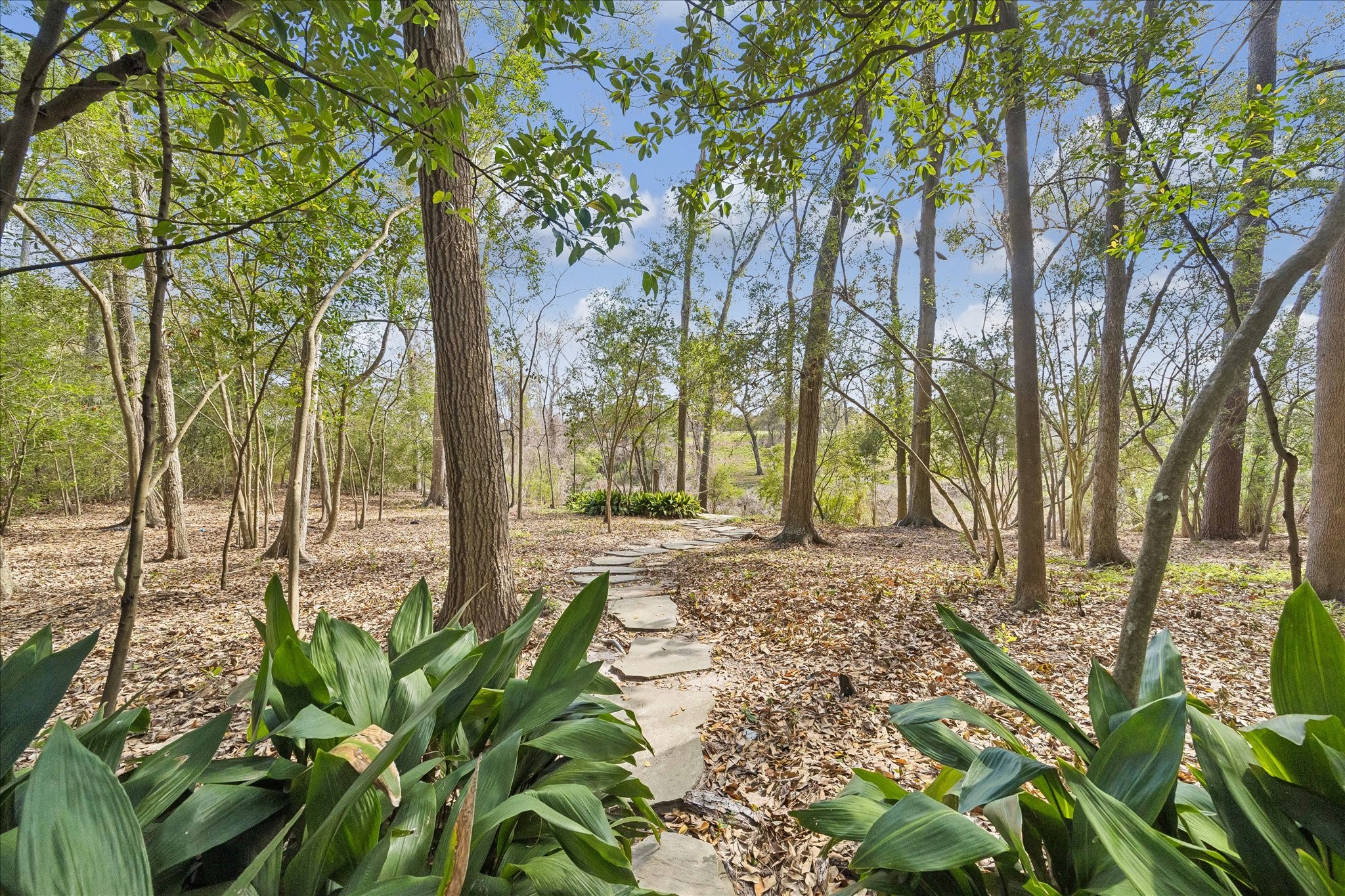 338 Hunters Trail Street Houston, TX 77024 - Photo 25 of 26