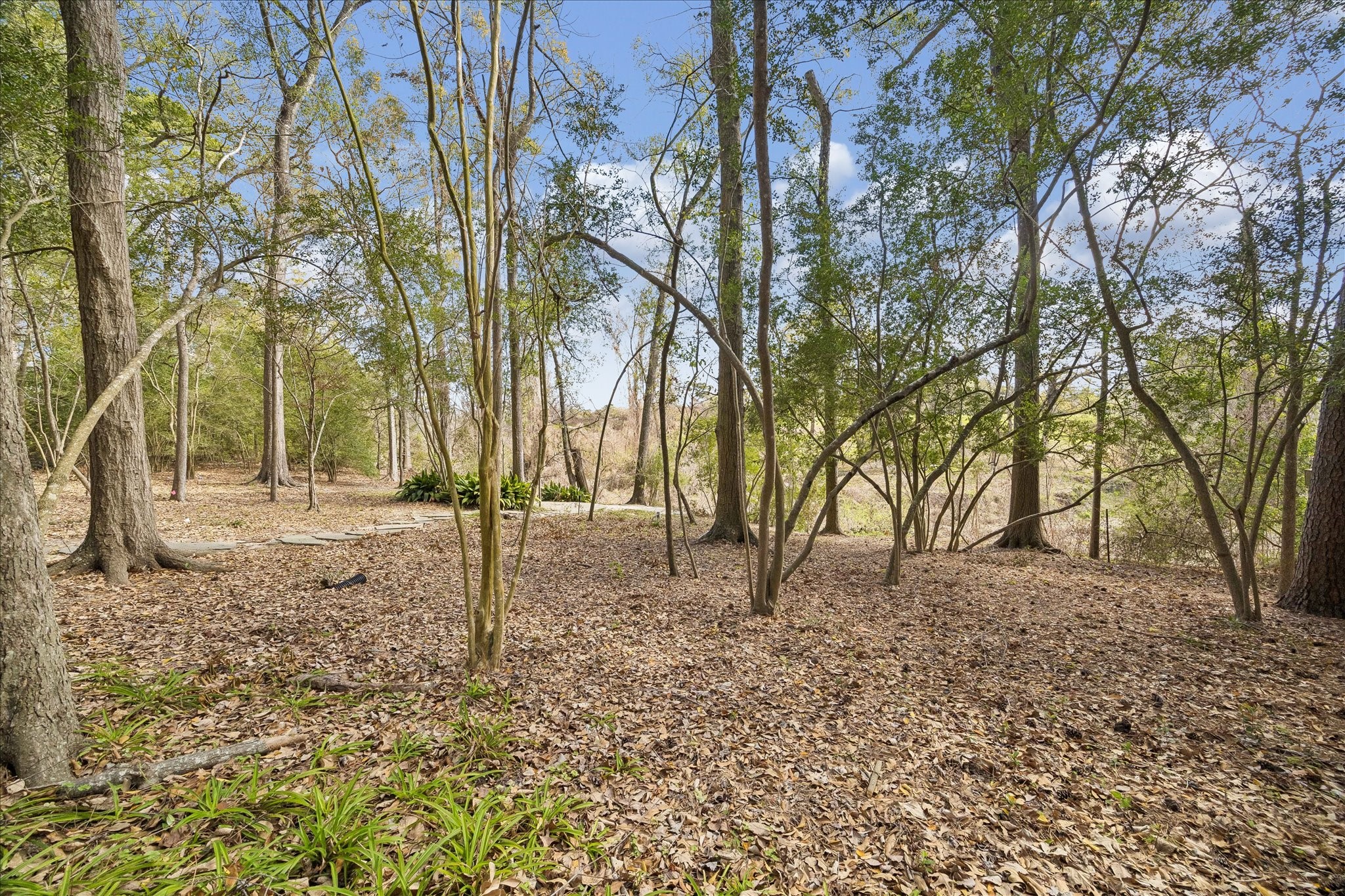 338 Hunters Trail Street Houston, TX 77024 - Photo 26 of 26