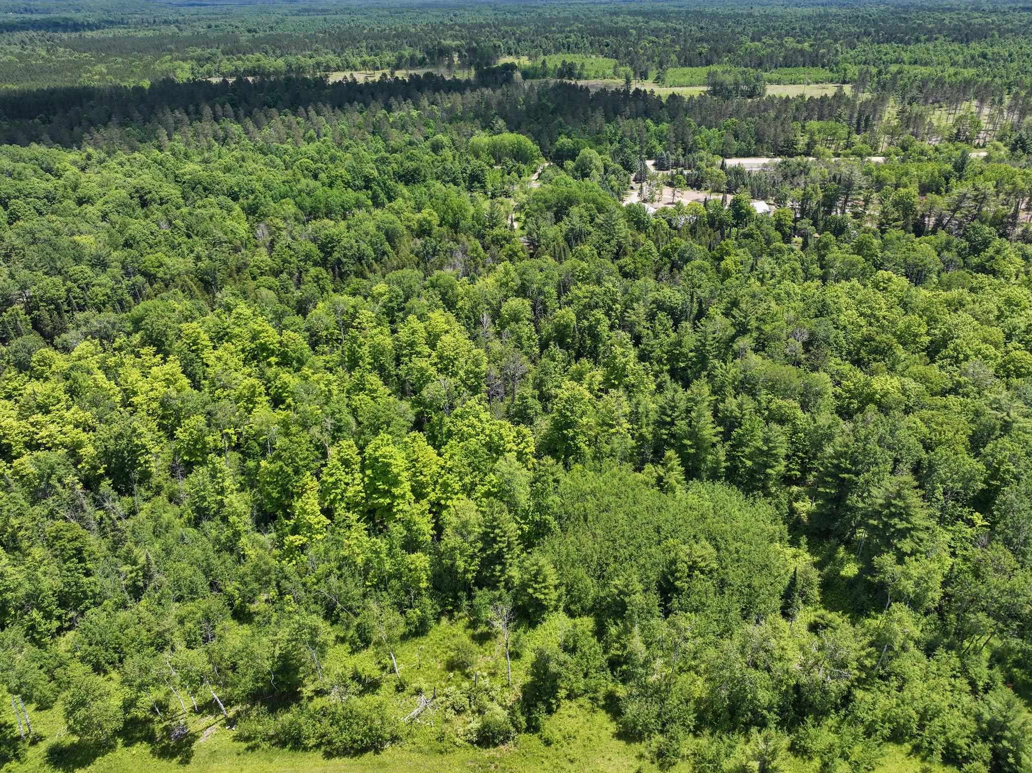 9281 North 41 Road Manton, MI 49663 - Photo 12 of 66