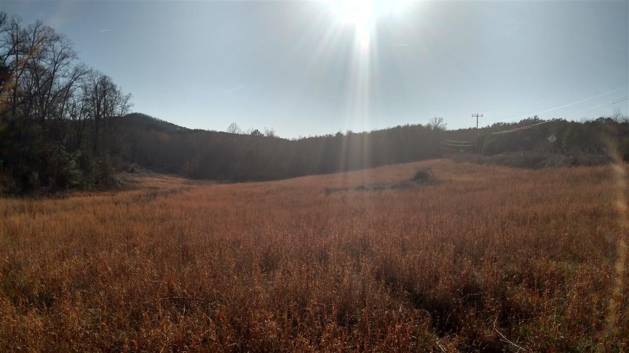 0 Beattys Chapel Road Tellico Plains, TN 37385 - Photo 1 of 1
