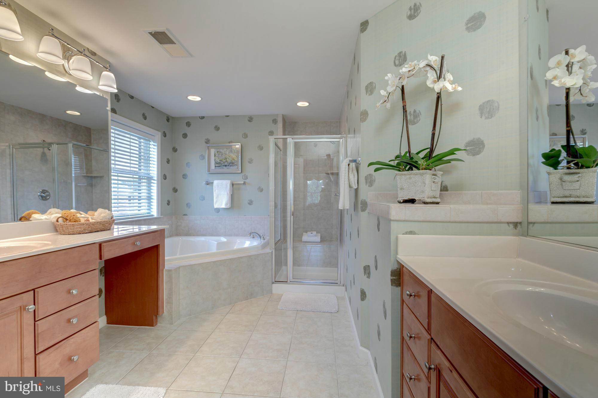 397 Spring Street Herndon, VA 20170 - Photo 18 of 30 a spacious bathroom with a double vanity sink a large mirror and shower