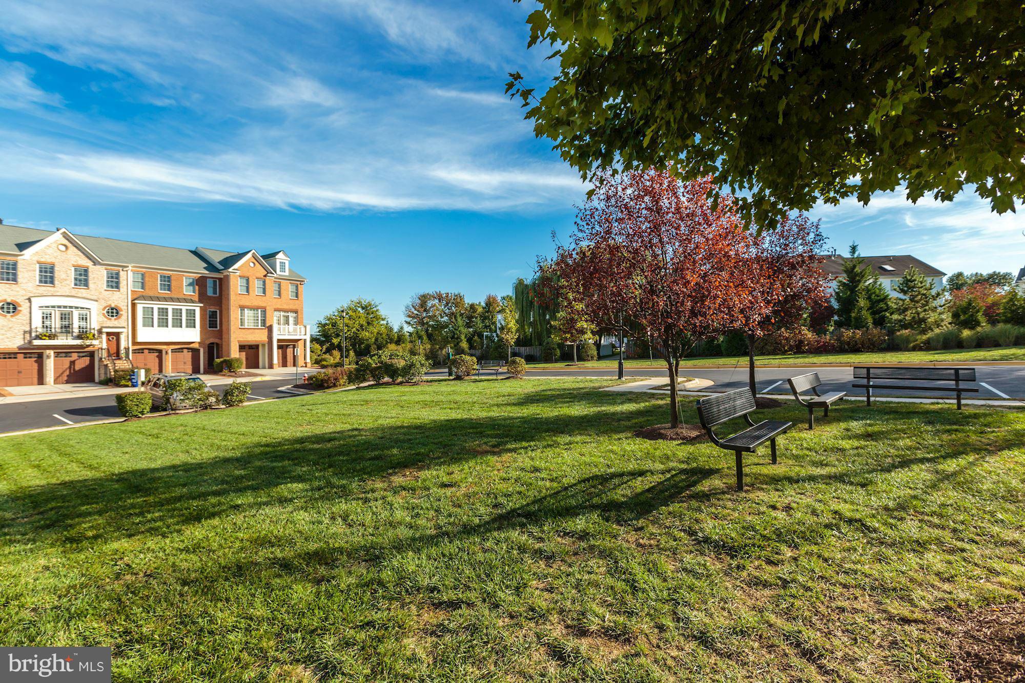 397 Spring Street Herndon, VA 20170 - Photo 30 of 30 a view of a park with large trees
