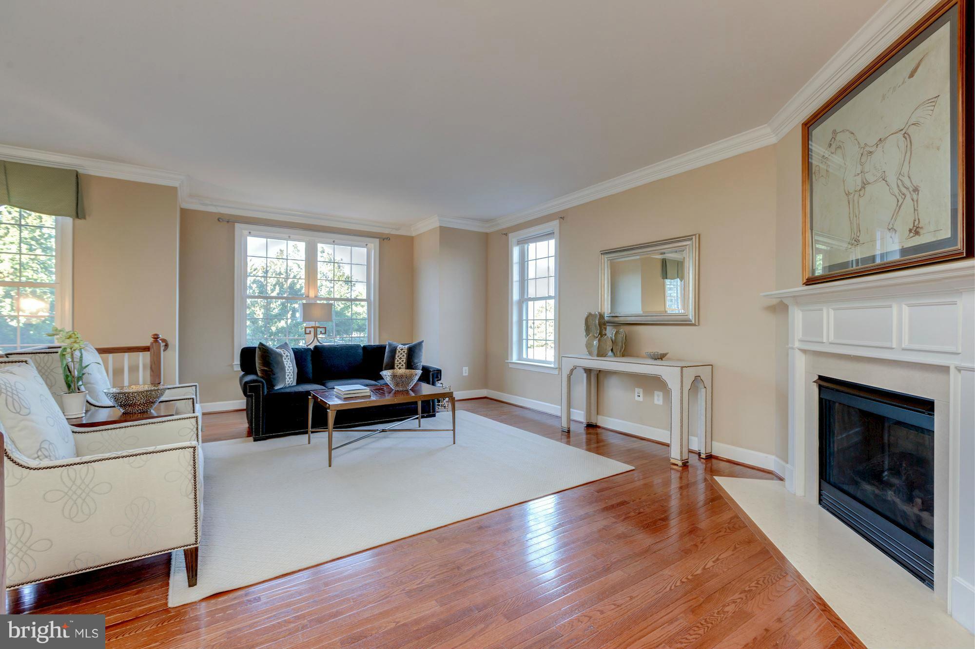 397 Spring Street Herndon, VA 20170 - Photo 6 of 30 a living room with furniture a window and a fireplace