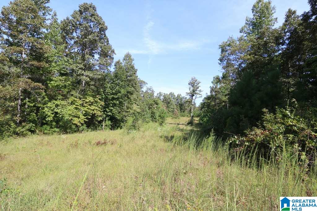 Sprayberry Road, Unit 103 Cropwell, AL 35054 - Photo 23 of 48