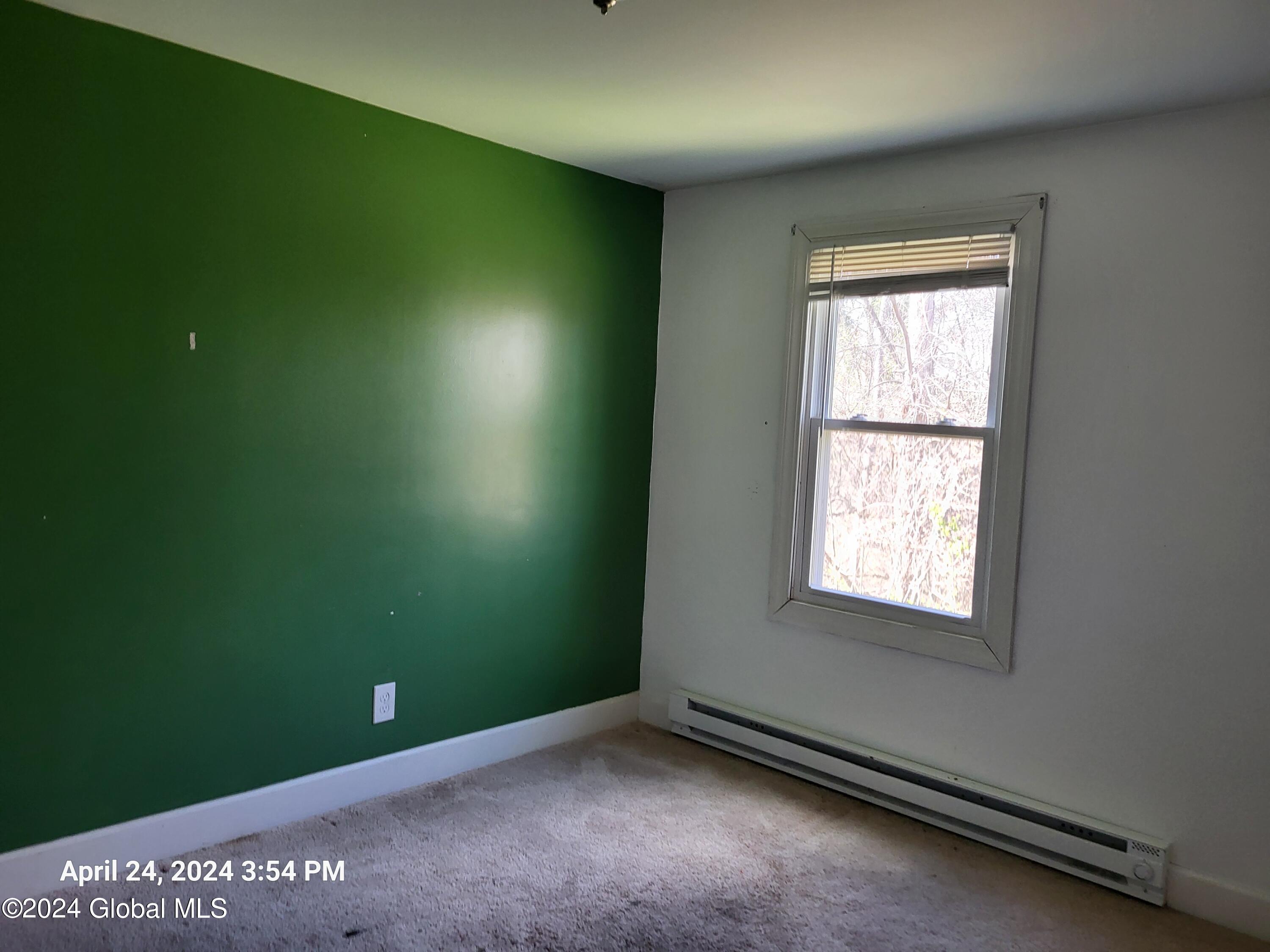 386 Cole Road Delanson, NY 12053 - Photo 8 of 10 20240424_155406