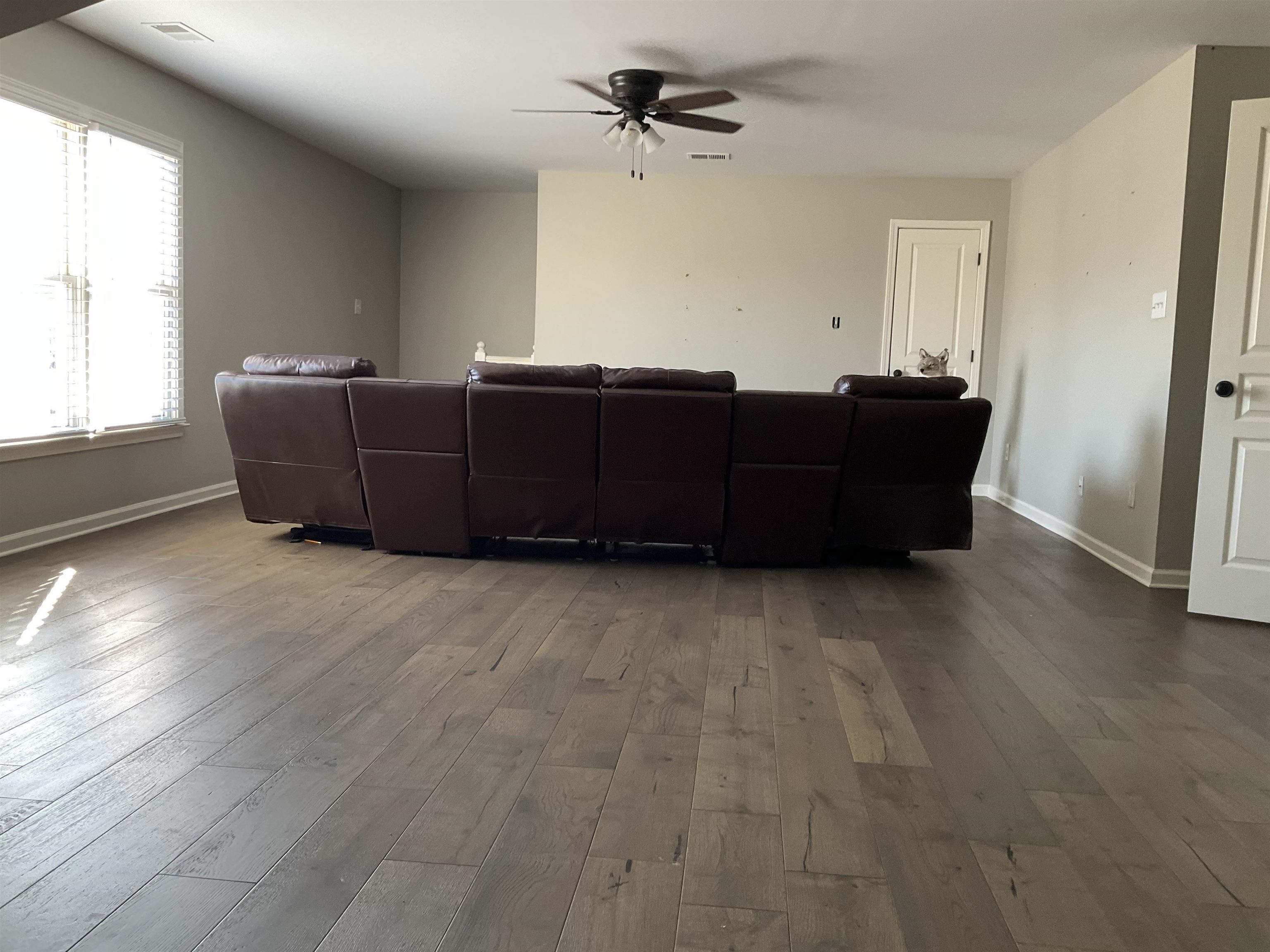 911 Hatton Street Collierville, TN 38017 - Photo 17 of 18