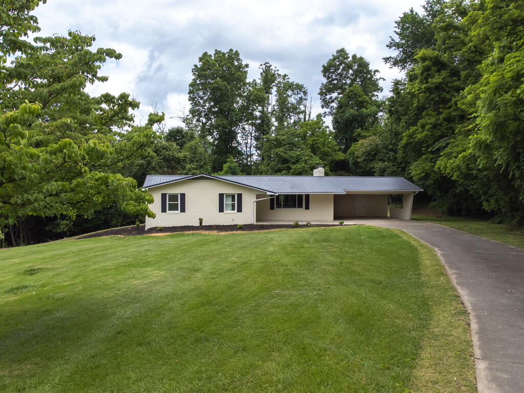 189 Dogwood Hills Road Fall Branch, TN 37656 - Photo 54 of 56 189 Dogwood Hills MLS054