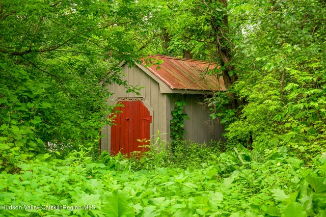 a view of a lush green forest
