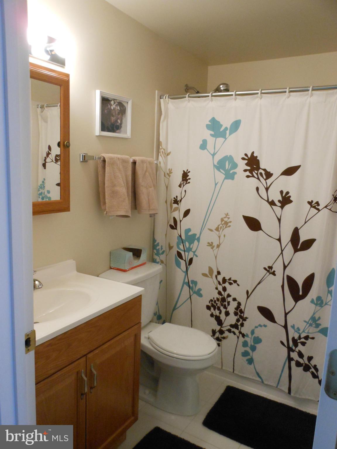 8503 Golden Ridge Court Lorton, VA 22079 - Photo 17 of 27 a bathroom with a sink a toilet and shower curtain