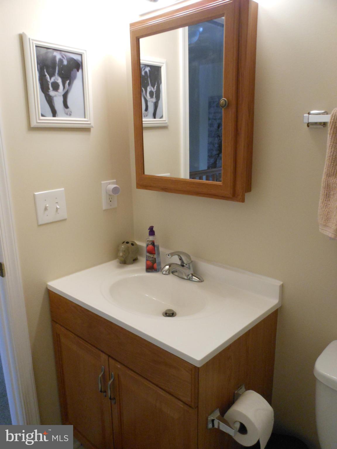 8503 Golden Ridge Court Lorton, VA 22079 - Photo 18 of 27 a bathroom with a sink mirror and toilet