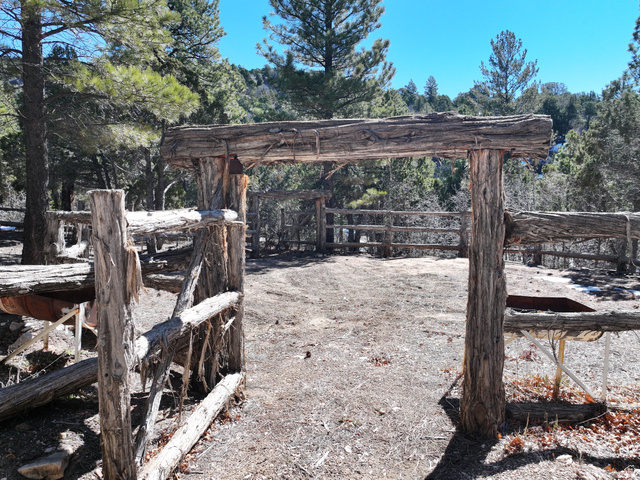 700 West Gravel Road North Kanab, UT 84741 - Photo 16 of 63 Rustic wooden gate with log posts, natural wood fencing, and surrounding mature trees