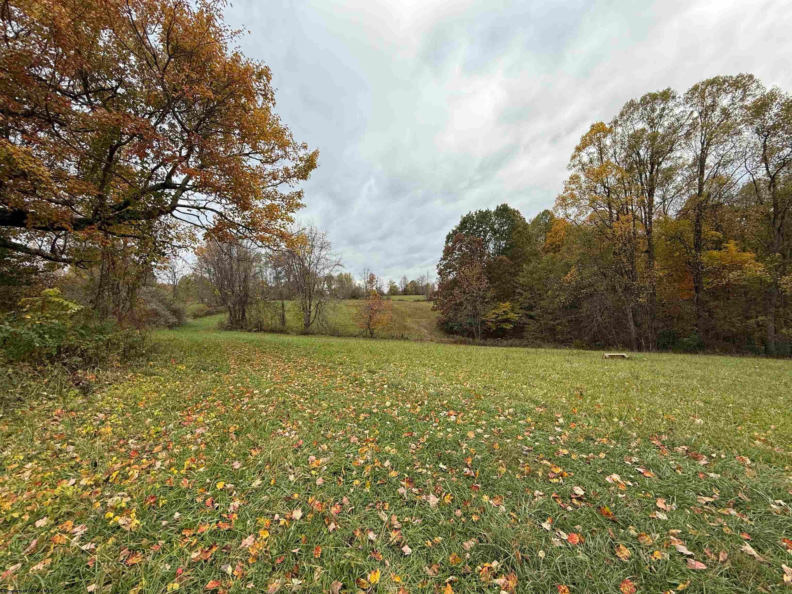0 Riggins Kingwood, WV 26537 - Photo 17 of 40 Gallery Image 17