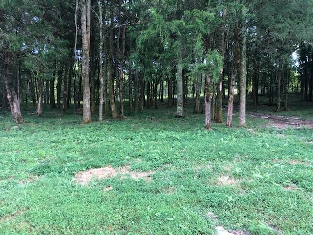 9 Swindell Hollow Road Lebanon, TN 37090 - Photo 5 of 6 Gallery Image 5