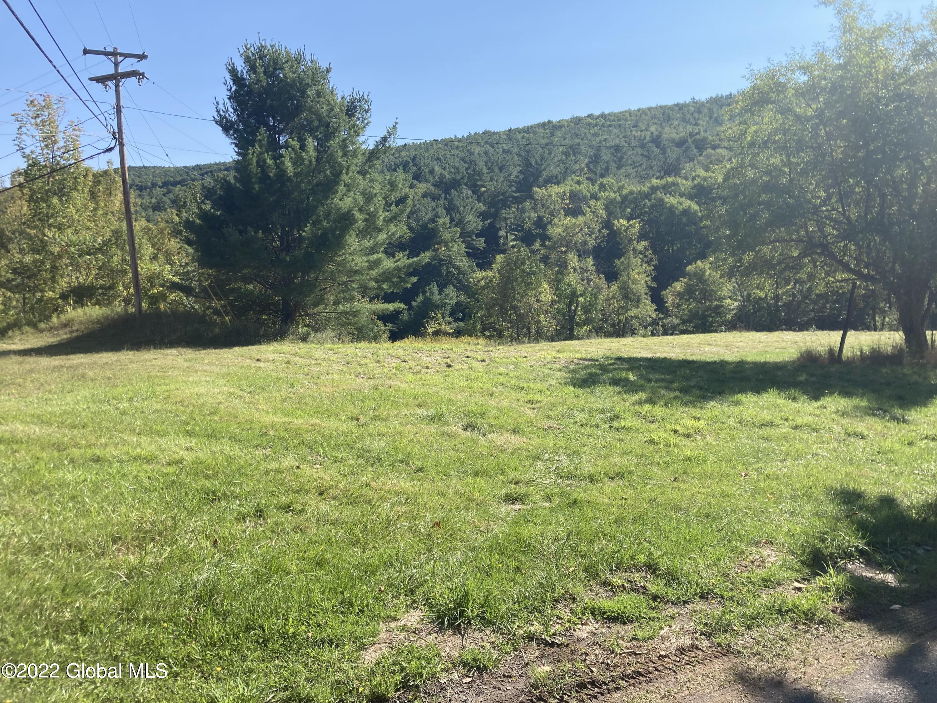 1535 Huntersland Road Middleburgh, NY 12122 - Photo 27 of 53 IMG_5359
