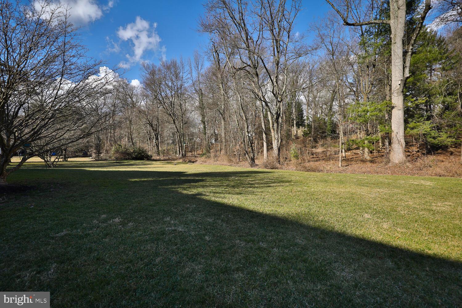1419 Amity Road Rydal, PA 19046 - Photo 46 of 51 Yard
