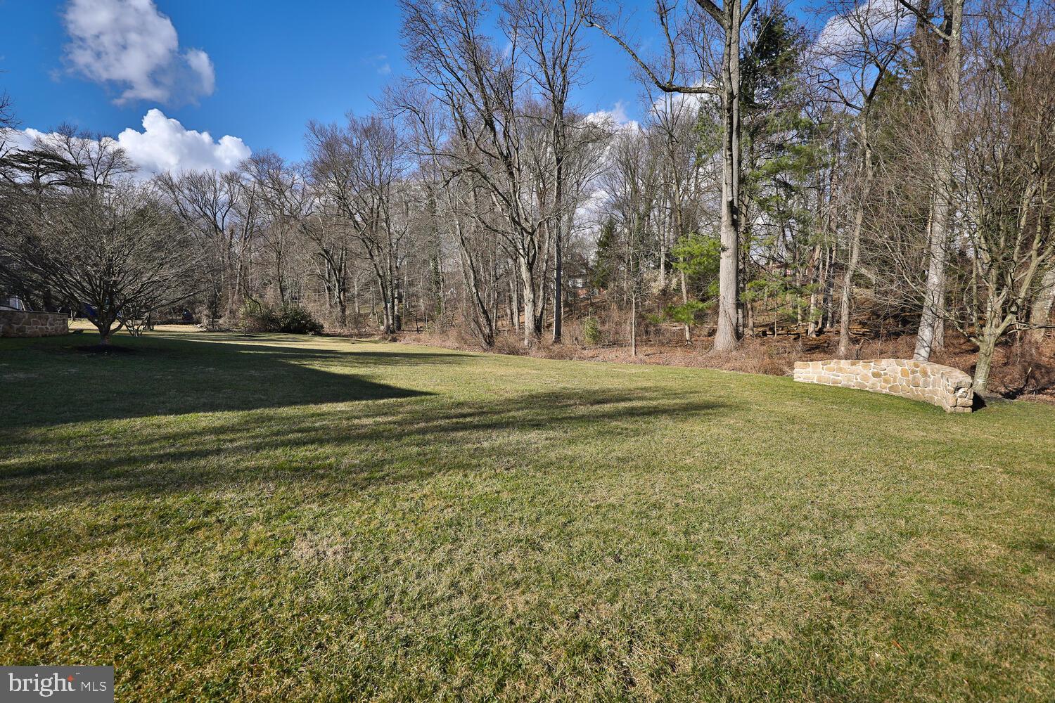 1419 Amity Road Rydal, PA 19046 - Photo 49 of 51 Back Yard