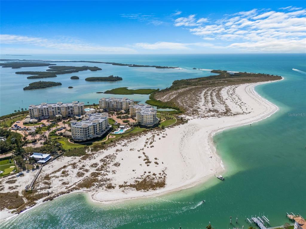 650 Collany Road, Unit 405 St. Petersburg, FL 33715 - Photo 49 of 50