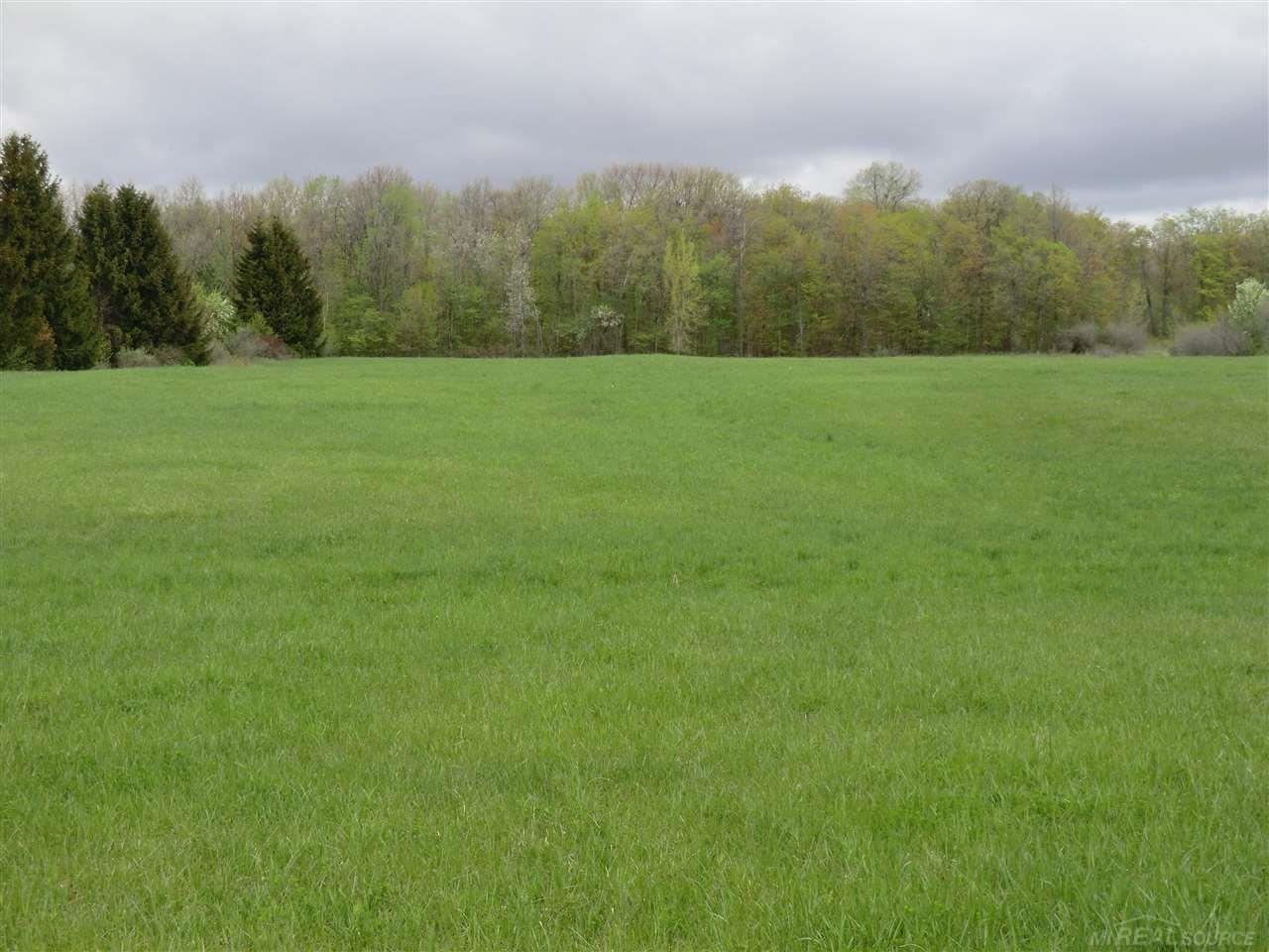0 McIntyre Road North Street, MI 48049 - Photo 3 of 3