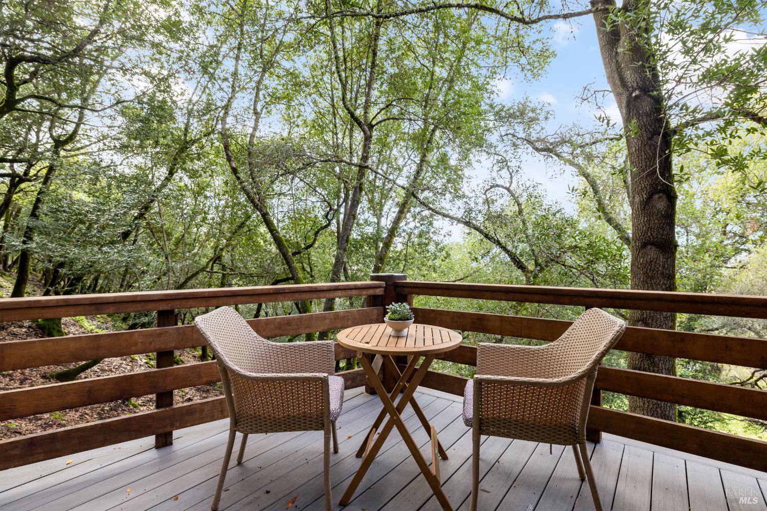 100 Zachary Lane Santa Rosa, CA 95404 - Photo 19 of 60 Primary suite deck with adjacent sauna.