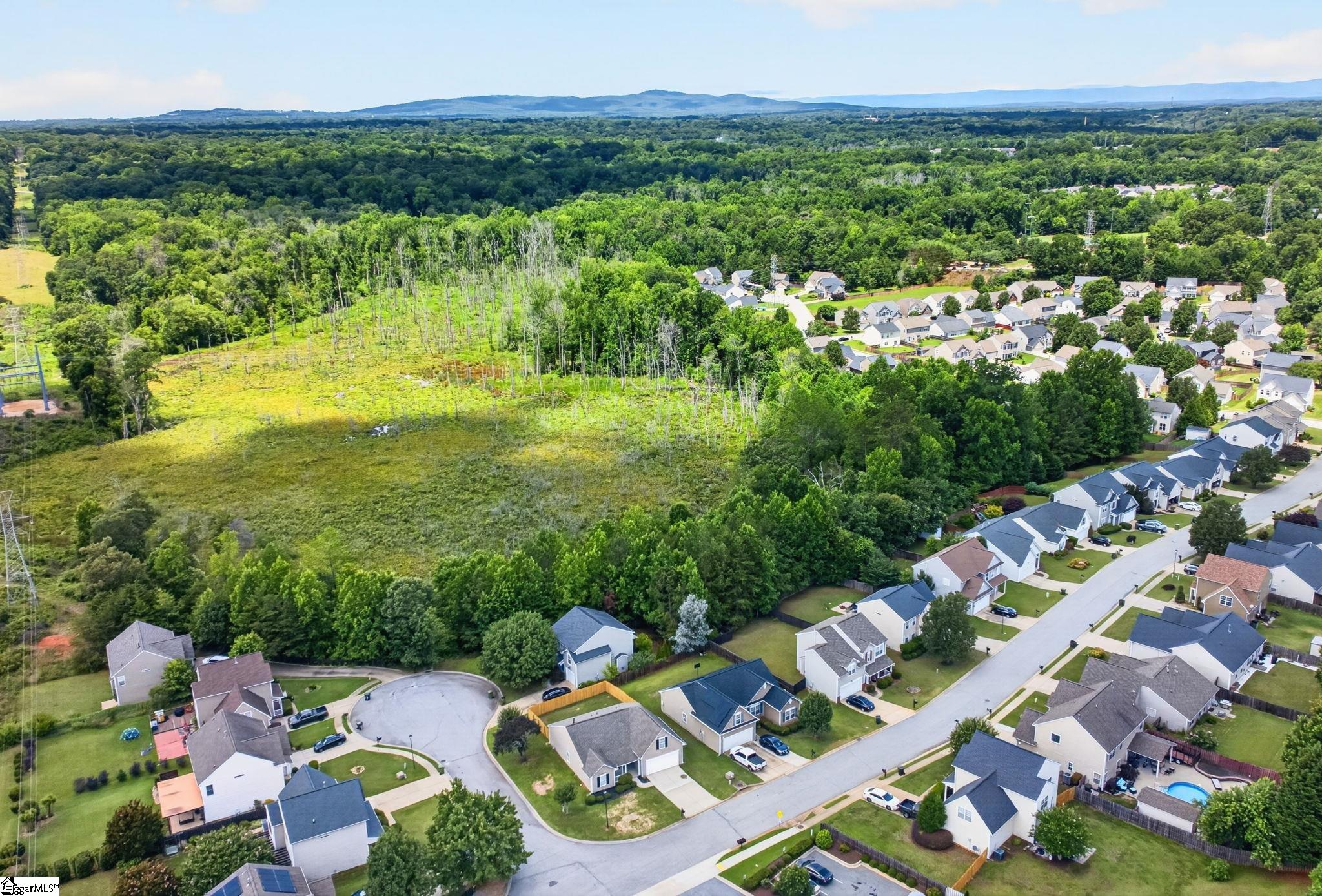 101 Constantine Way Greer, SC 29650 - Photo 42 of 45