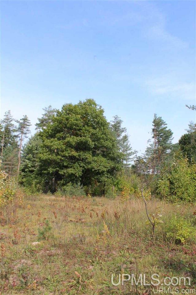 23827 Hulkonen Road Nisula, MI 49952 - Photo 34 of 44 Gallery Image 34