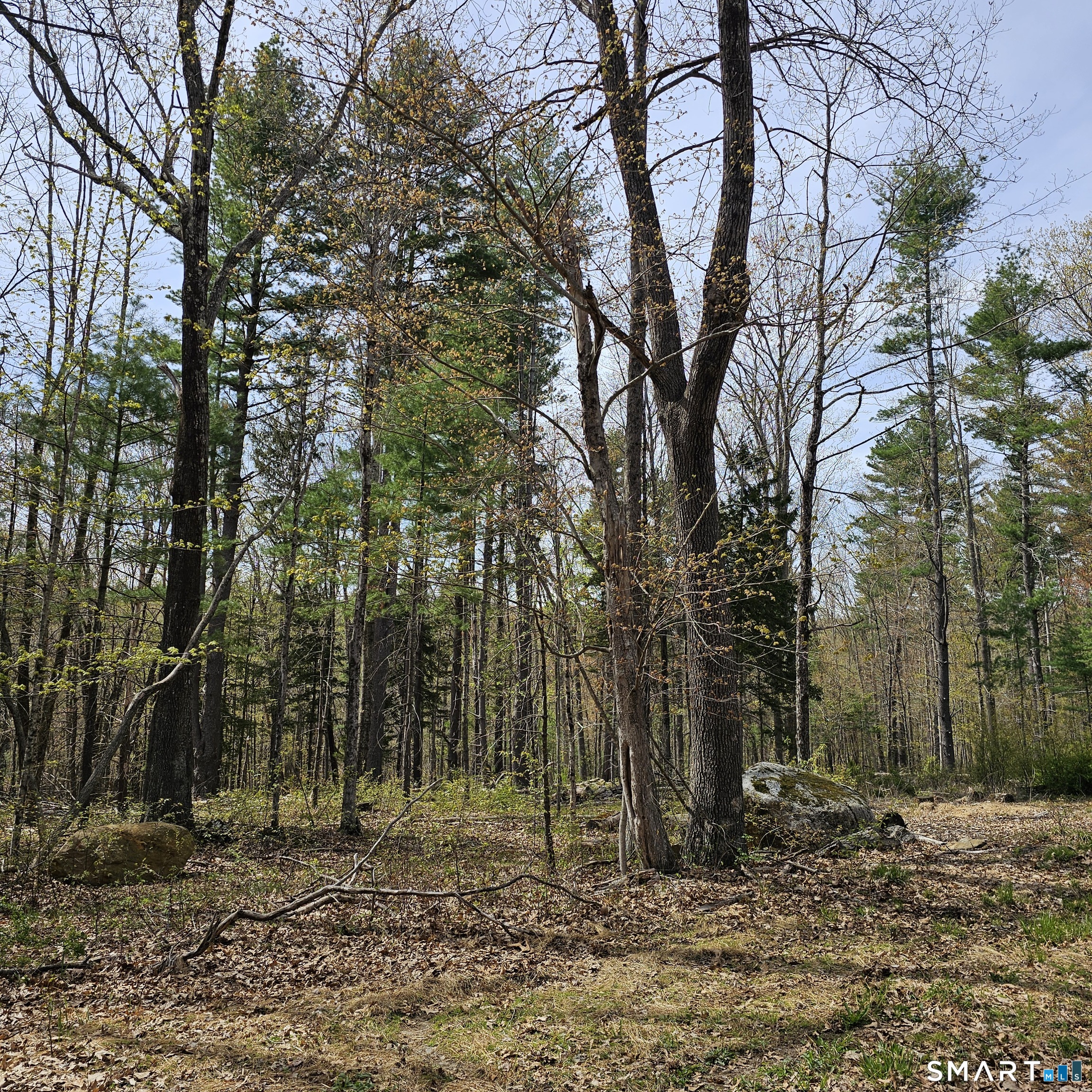 Jared Sparks Road Willington, CT 06279 - Photo 6 of 13 a backyard of a house with lots of trees