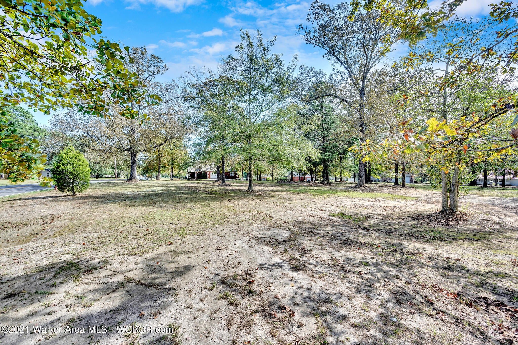1111 Brakefield Dairy Road Jasper, AL 35503 - Photo 49 of 50 Gallery Image 49