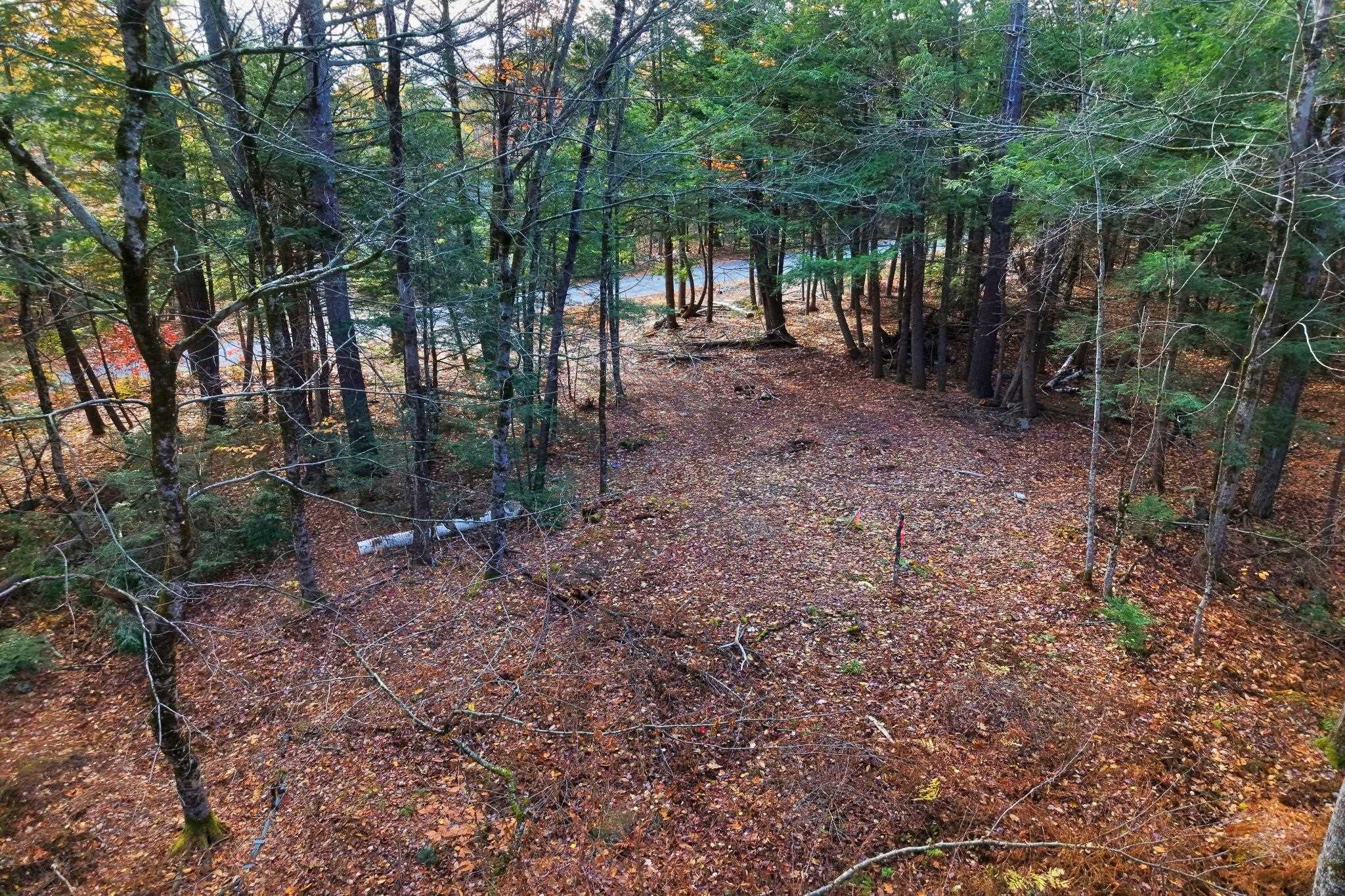 Lot 12-5 Needle Eye Road Meredith, NH 03253 - Photo 7 of 12