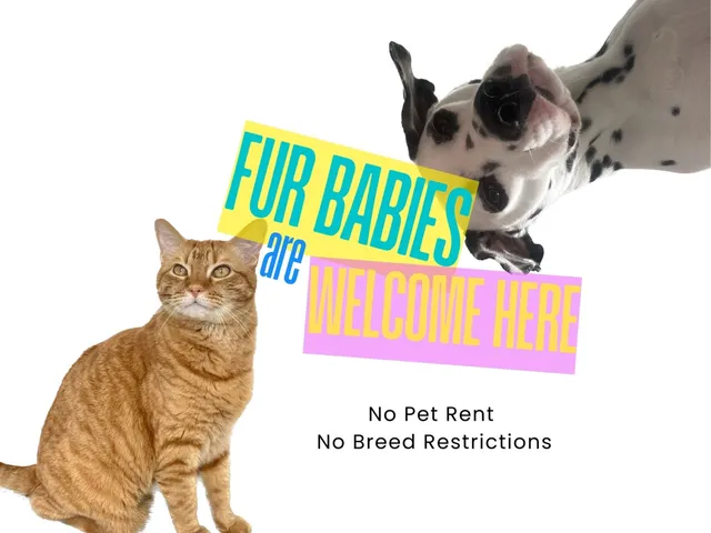 $3,000 | 1010 Melneeka Lane, Houston, TX 77091