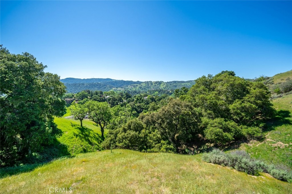 9500 Corona Road Atascadero, CA 93422 - Photo 10 of 73
