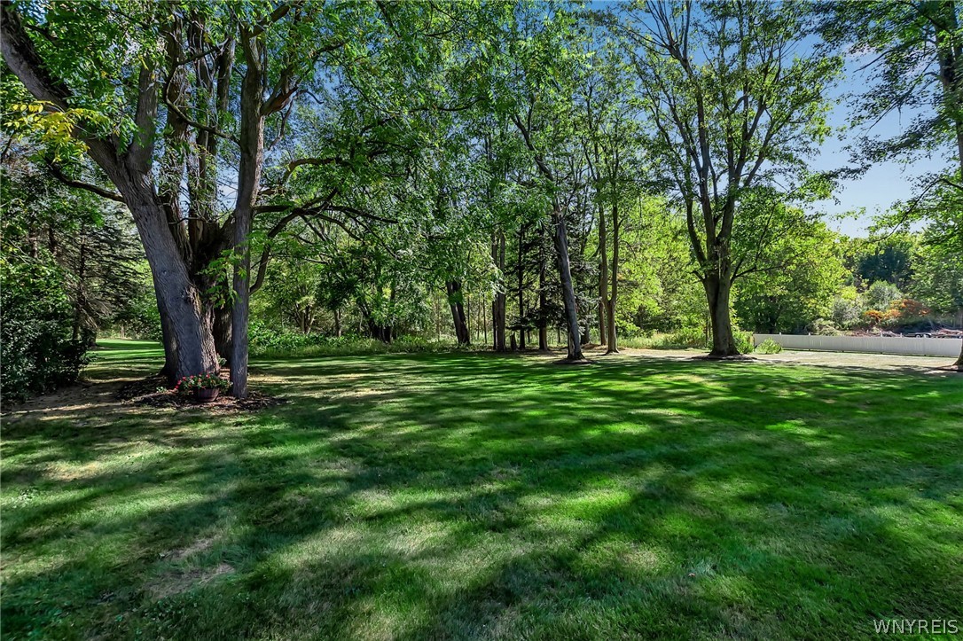 6889 Sand Hill Road Newstead, NY 14001 - Photo 47 of 50 Rear Yard