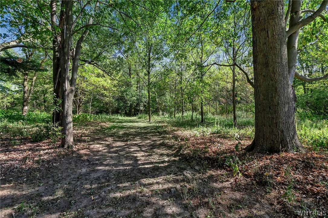 6889 Sand Hill Road Newstead, NY 14001 - Photo 48 of 50 2.3 Acres