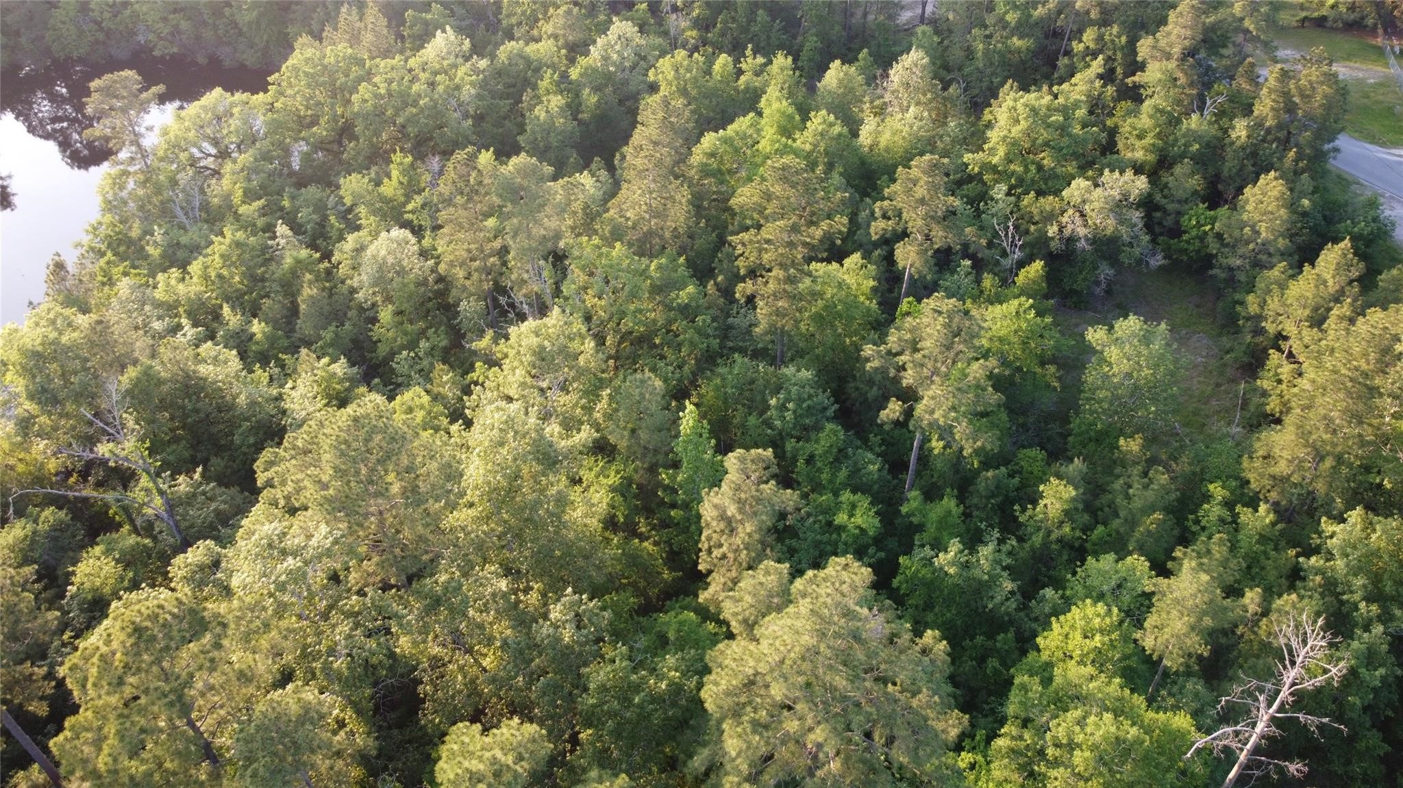 Tract A Lake Road Huntsville, TX 77320 - Photo 2 of 7 a view of a forest with a tree