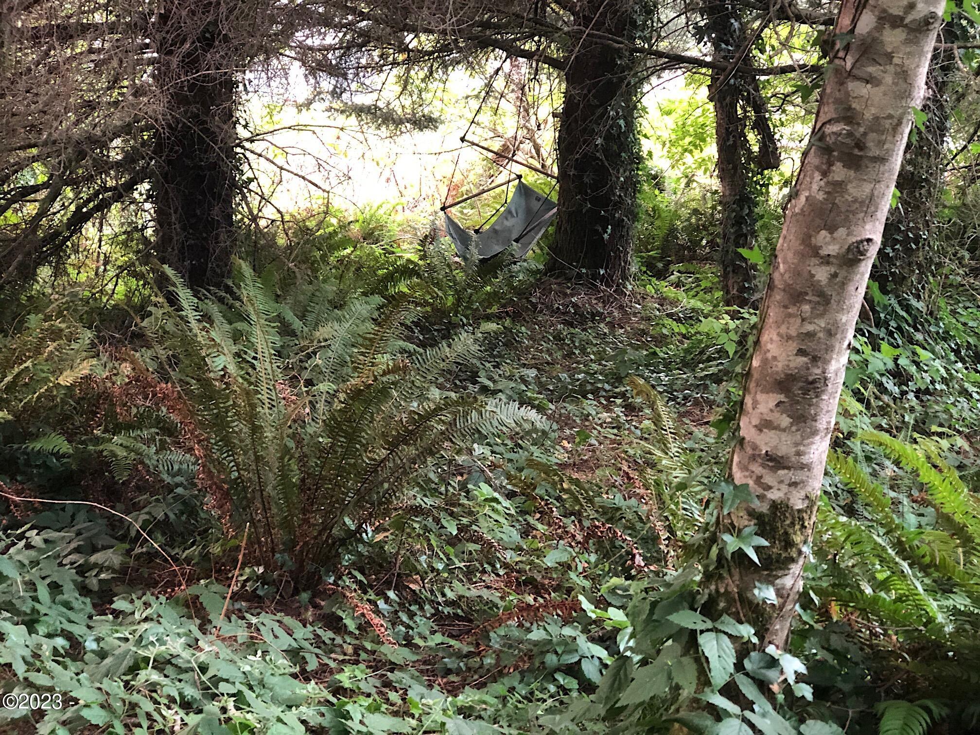 700 Northeast East Line Road Yachats, OR 97498 - Photo 4 of 7 IMG_2136