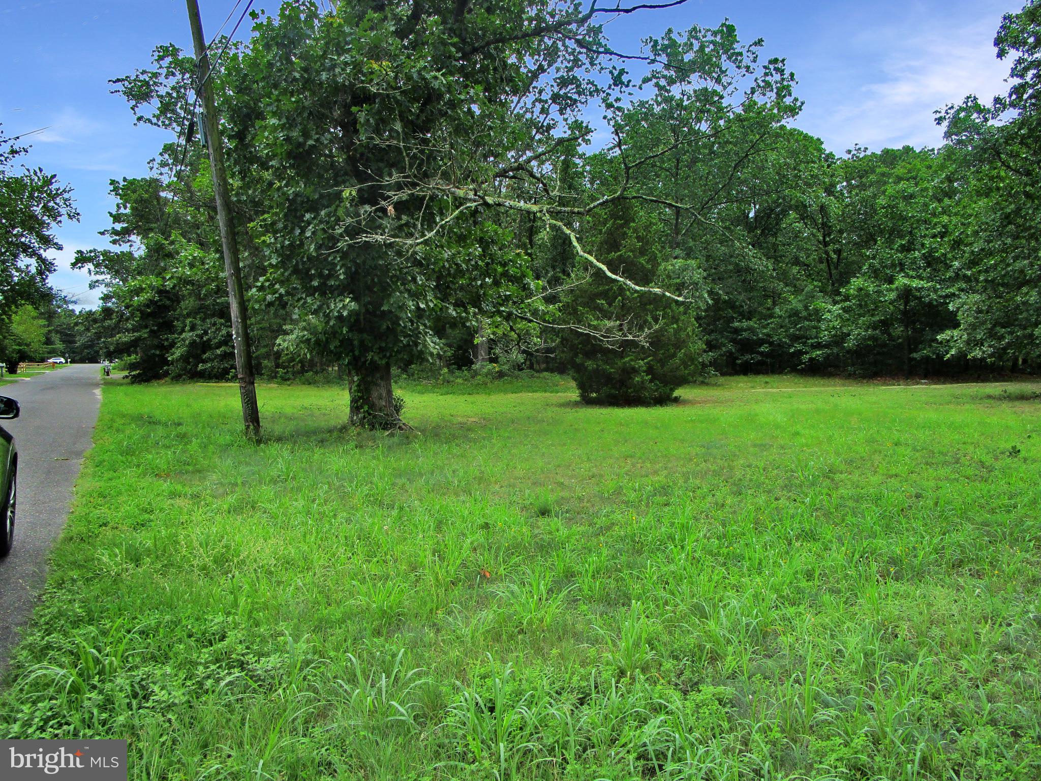 0 Maple Avenue Waterford Works, NJ 08089 - Photo 4 of 62 a view of an outdoor space with a garden