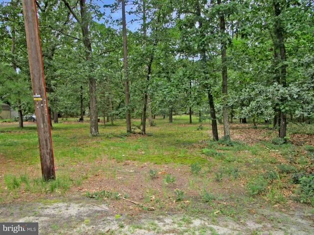 a big yard with lots of green space and trees