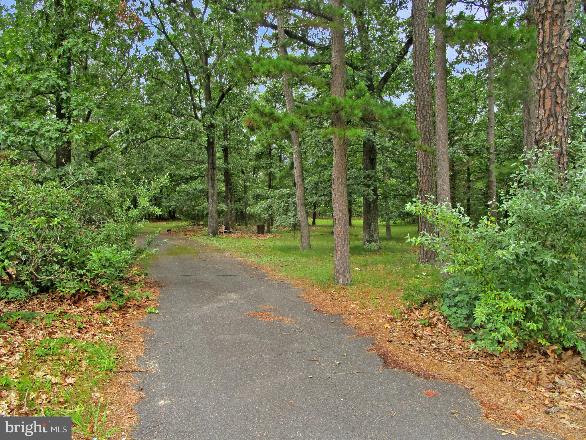 0 Maple Avenue Waterford Works, NJ 08089 - Photo 7 of 62 a view of a yard with plants and trees