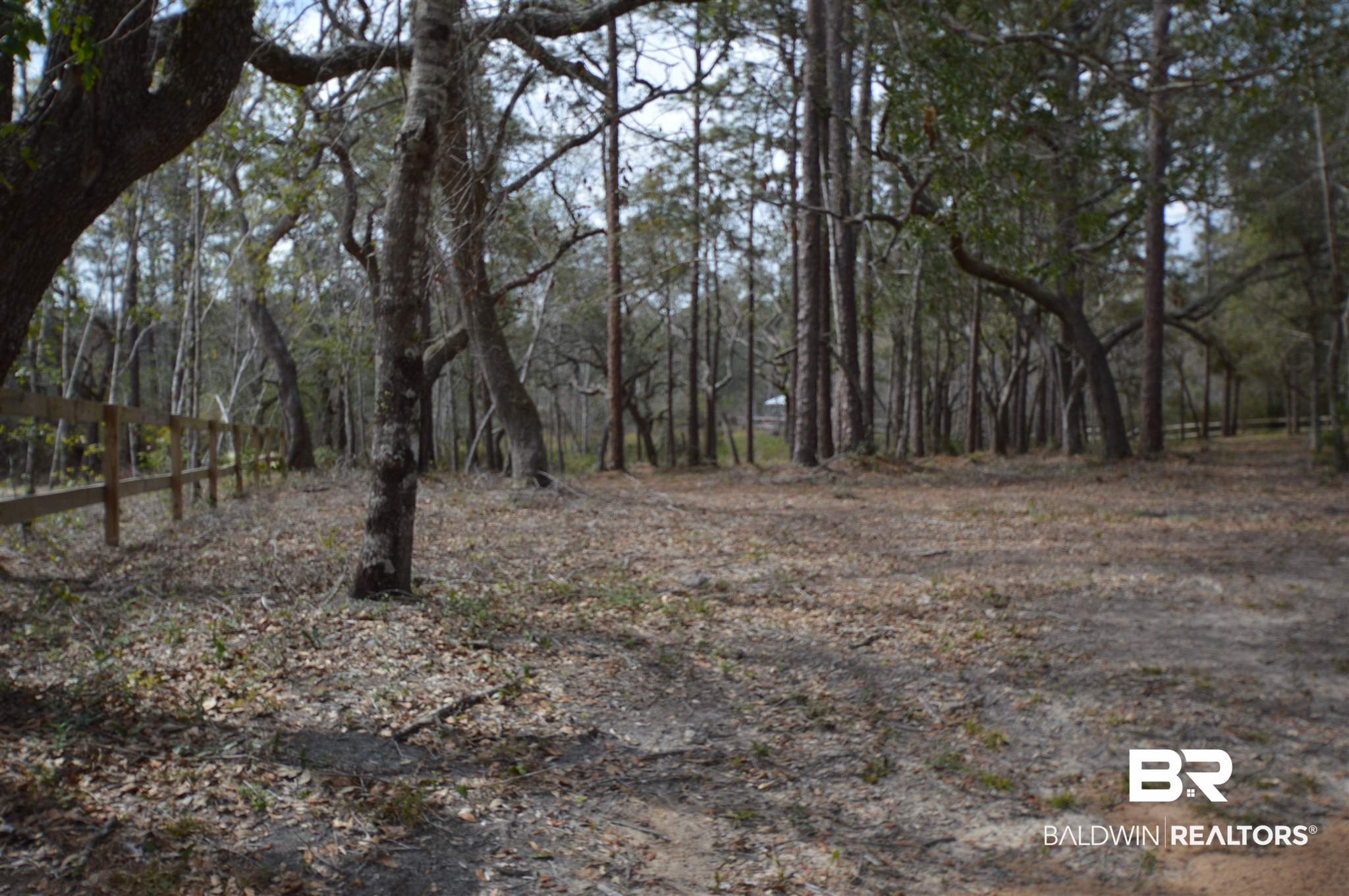 Lot 4 North Bayou Road Lillian, AL 36549 - Photo 3 of 10