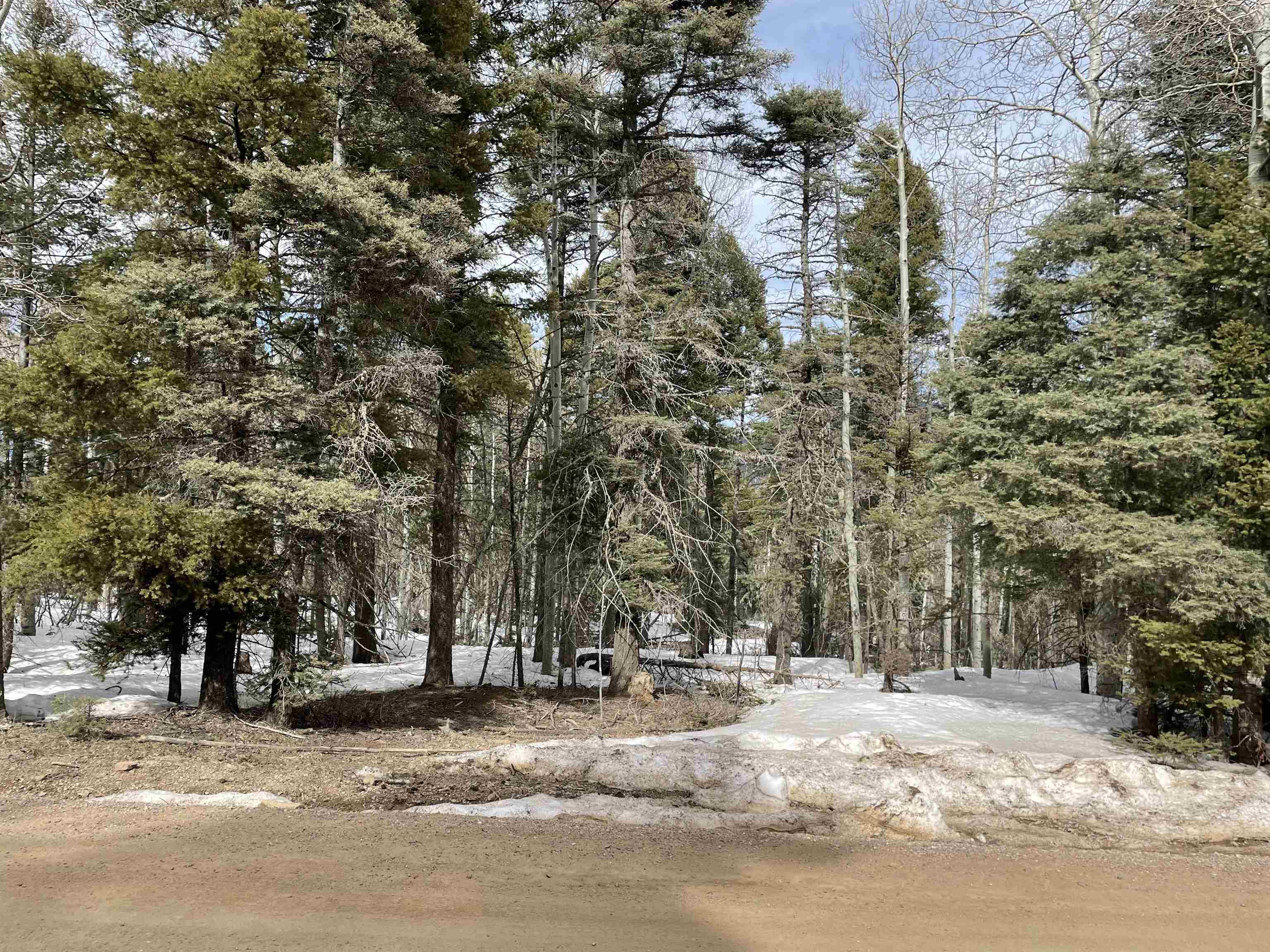 Lot 337 Rio Arriba Angel Fire, NM 87710 - Photo 1 of 9 Gallery Image 1