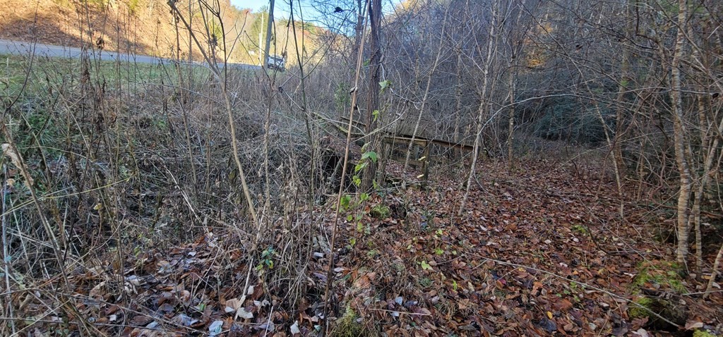 2 Wilhite Road Cosby, TN 37722 - Photo 13 of 24