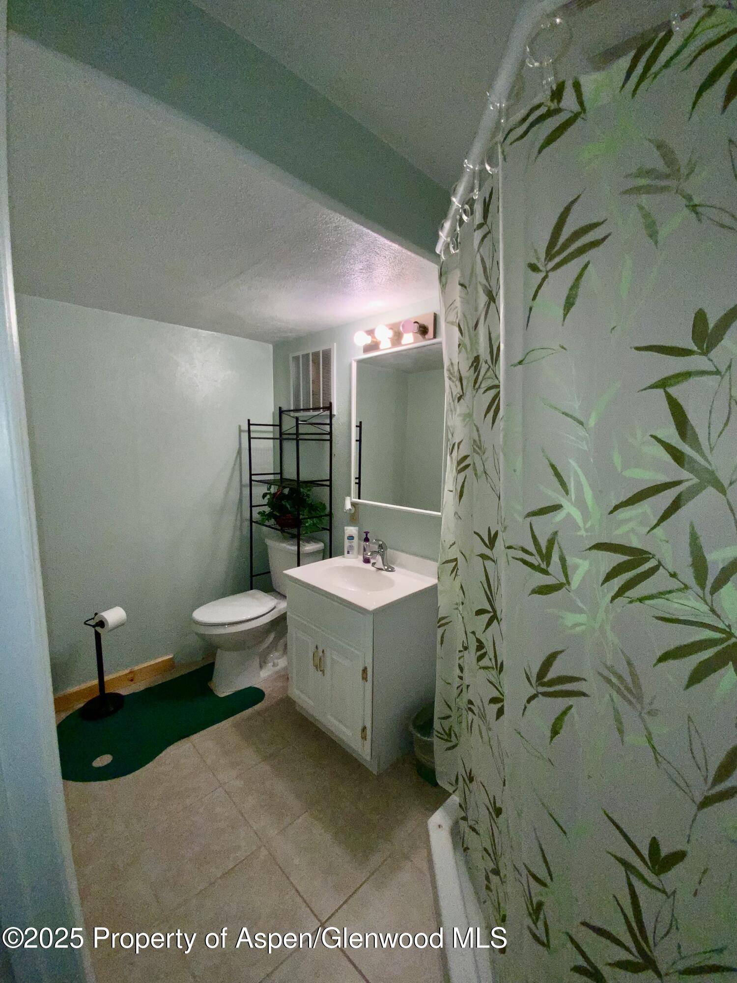 660 Aspen Avenue Rifle, CO 81650 - Photo 23 of 30 a bathroom with a toilet sink and mirror