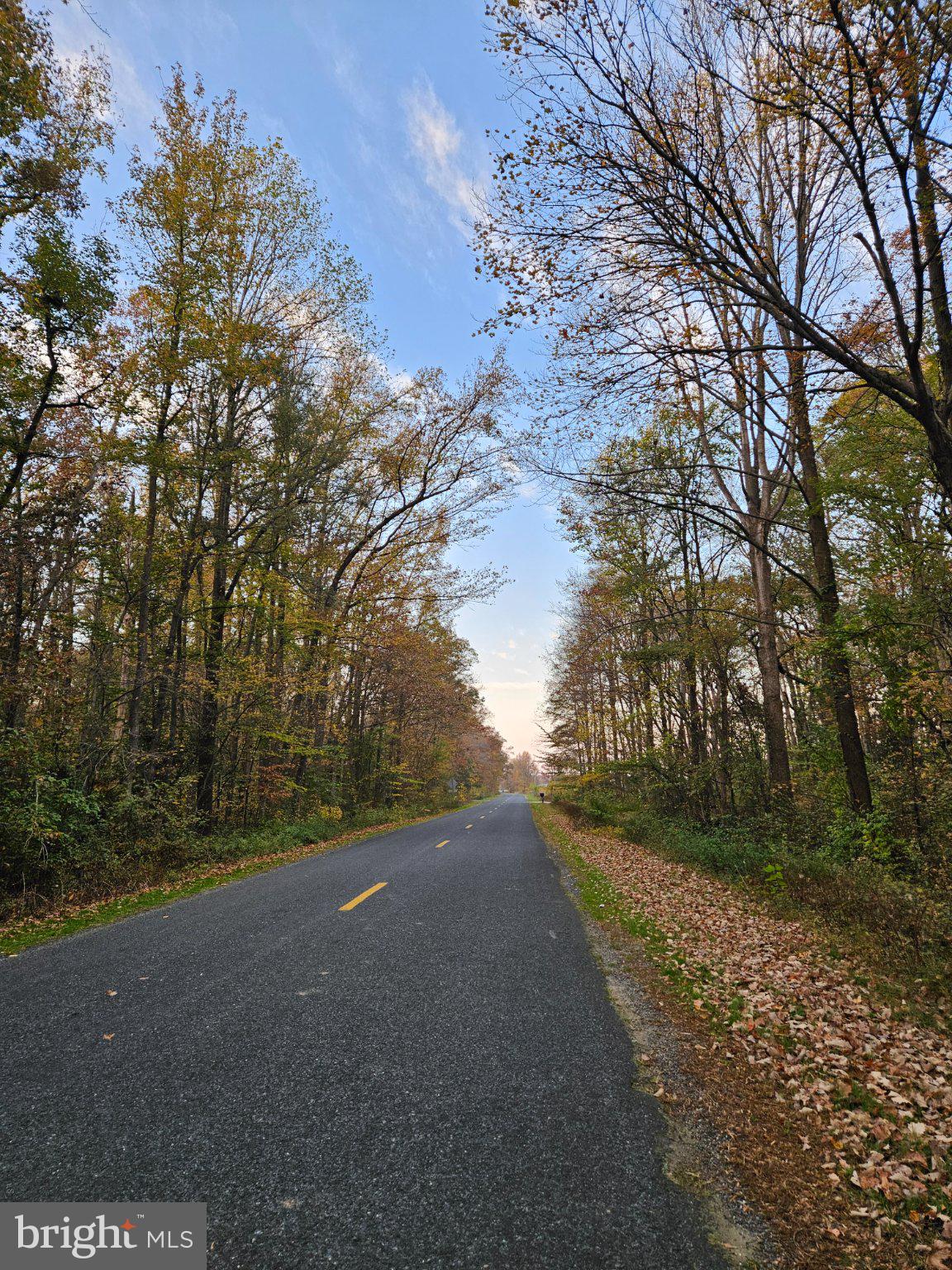1031 Peters Corner Road Sudlersville, MD 21668 - Photo 3 of 7 Autumn Road Through Tranquil Woods