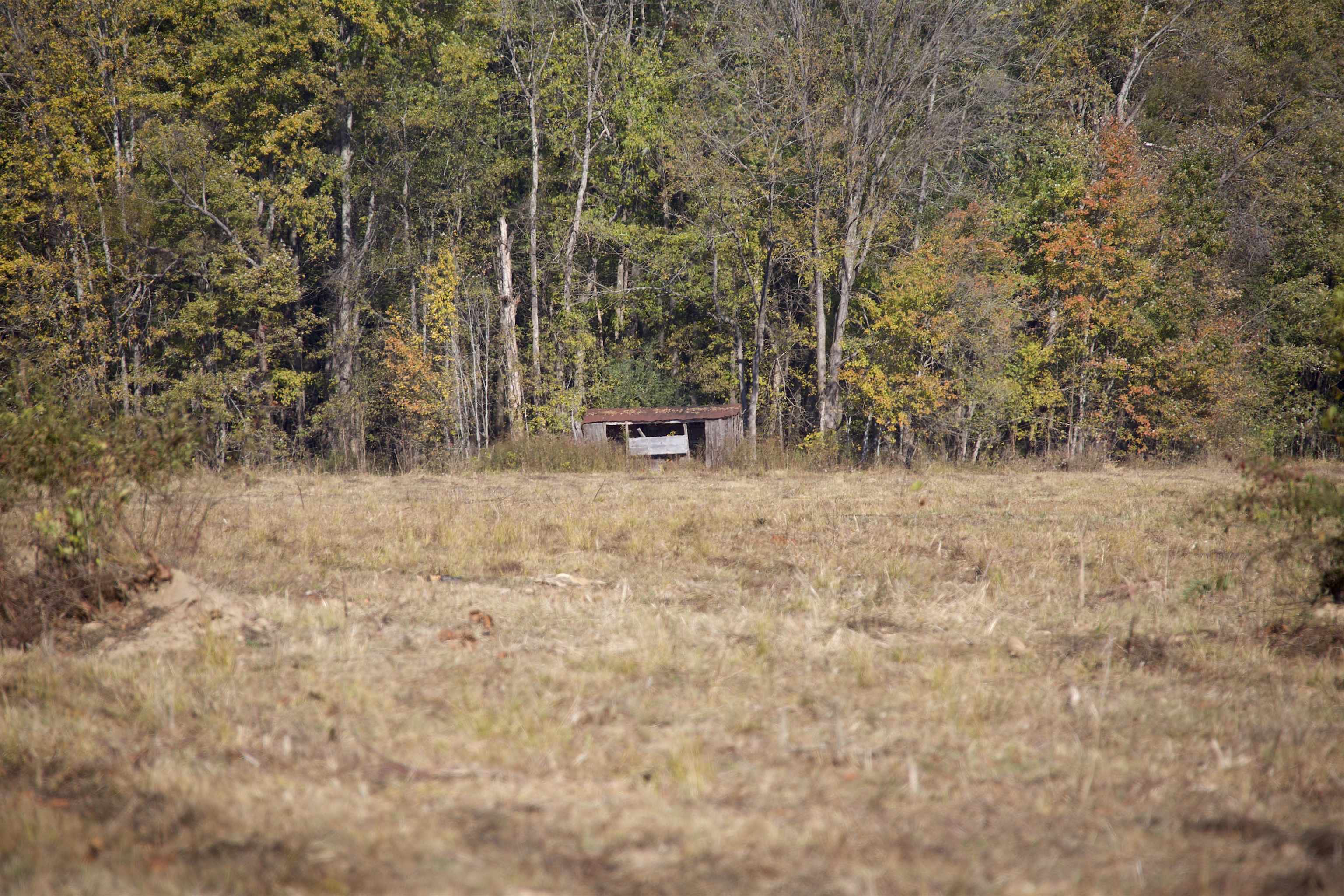 a view of a outdoor space with trees