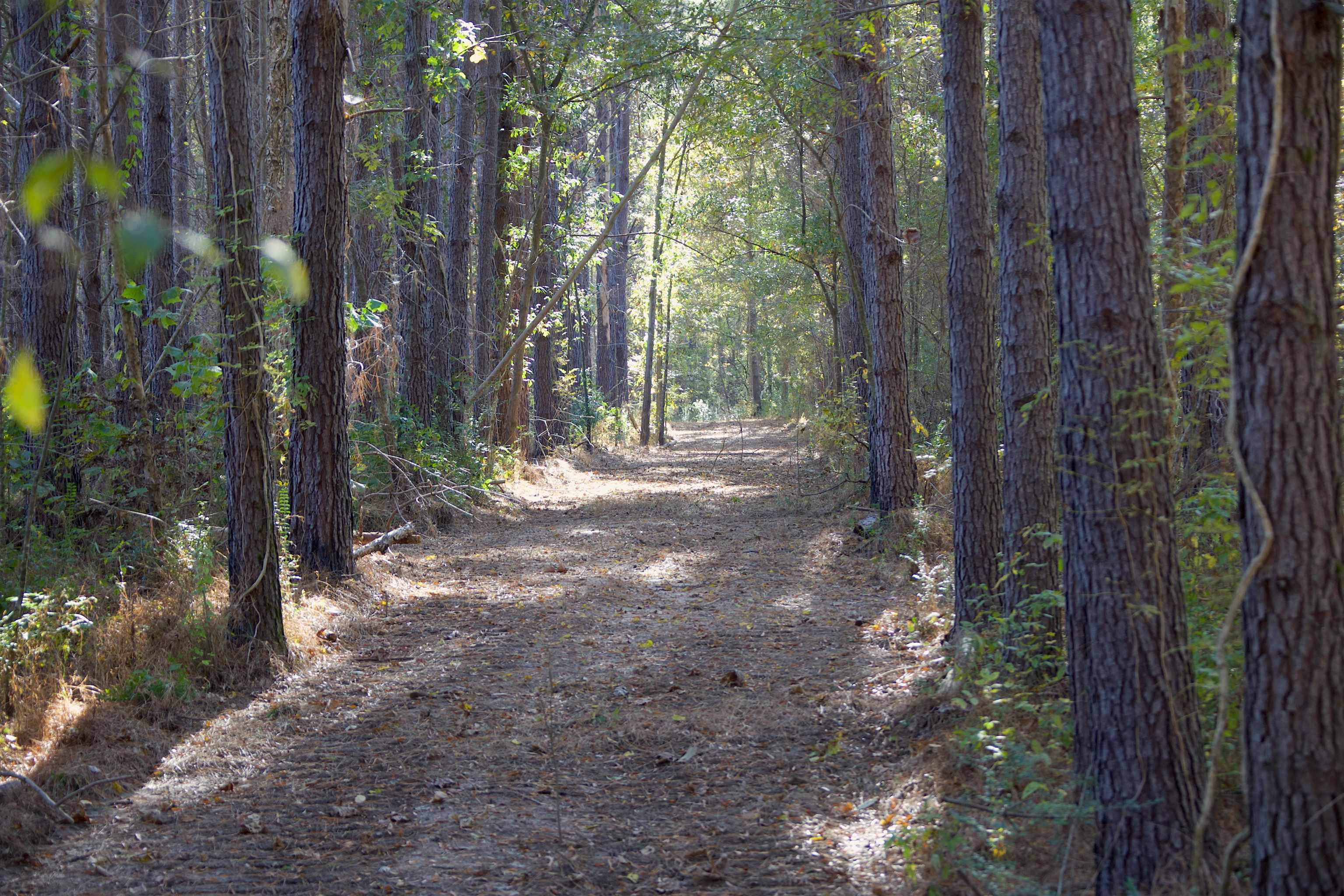 1761 Cr-126 Road Walnut, MS 38683 - Photo 11 of 32