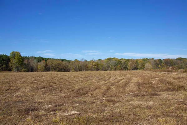 a view of a dry yard with mountains in the background