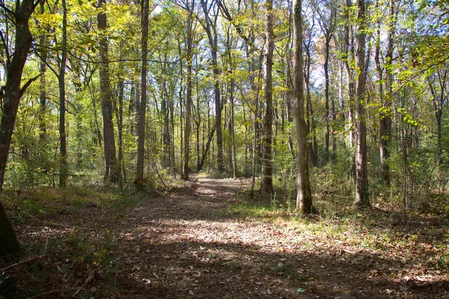 $221,049 | 1761 Cr-126 Road, Walnut, MS 38683