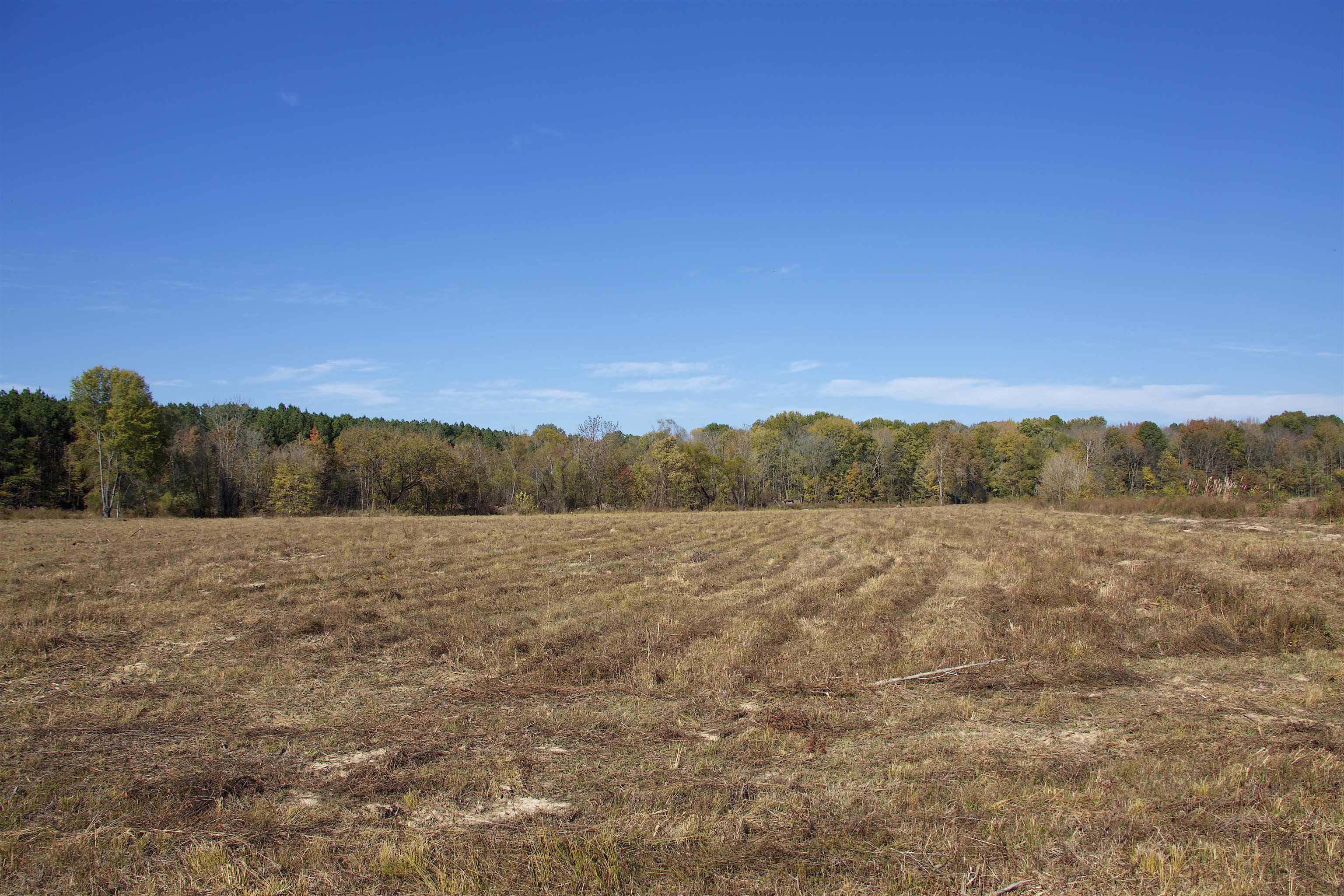 1761 Cr-126 Road Walnut, MS 38683 - Photo 18 of 32