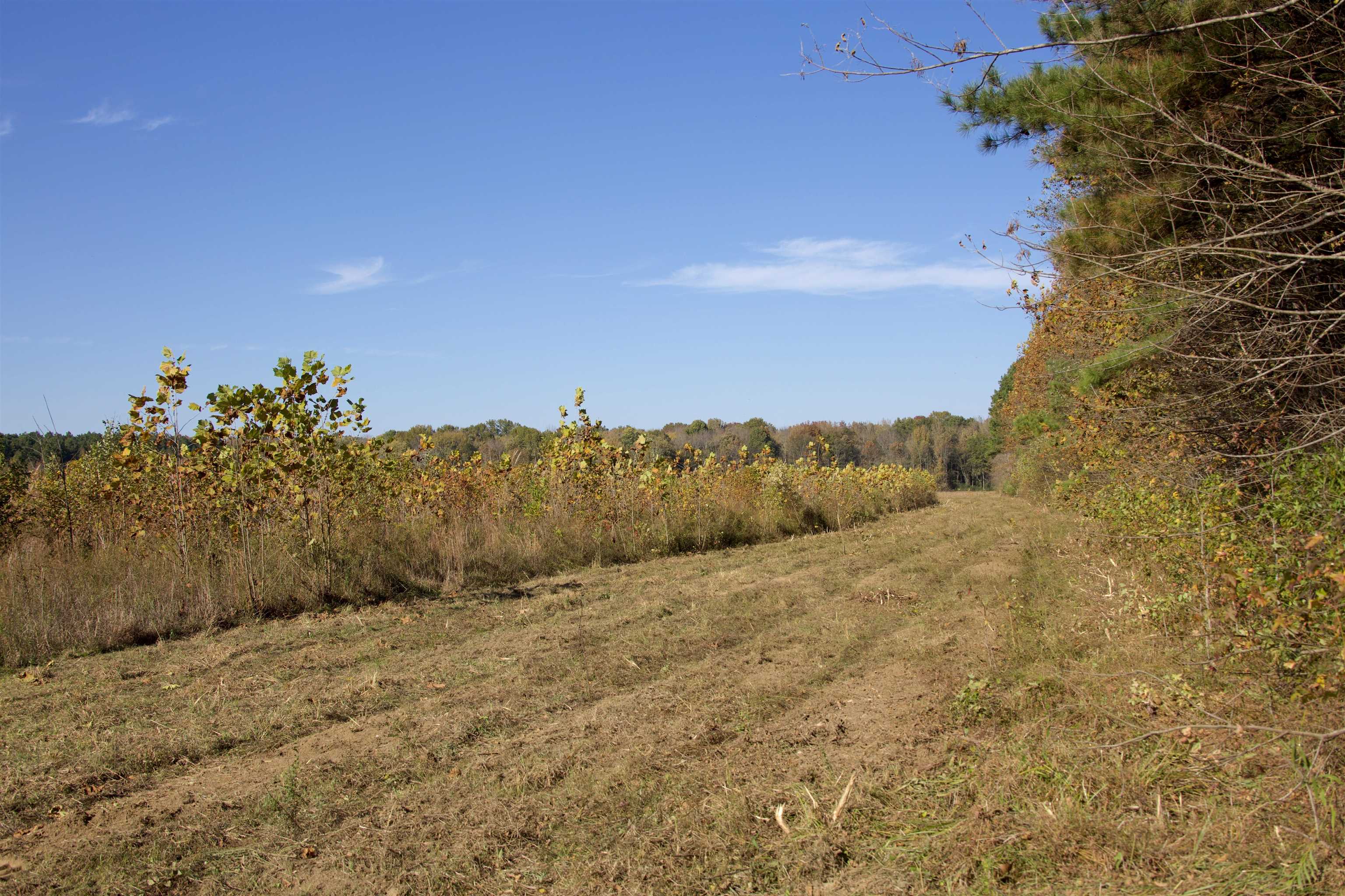 1761 Cr-126 Road Walnut, MS 38683 - Photo 23 of 32